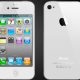 white-110125.jpg