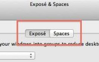 162642-lion_subpane_slider_old_500.jpg