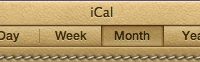 163551-lion_ical_button_style_selector.jpg