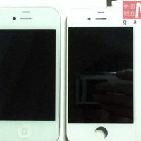 b1d282a17edaaded6364-LL.jpg