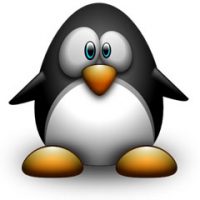 linux_pingouin.jpg