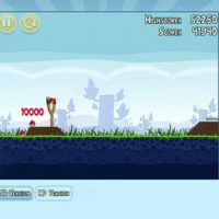 2011-05-11-angrybirds4-1305133255.jpg