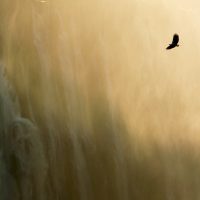 Eagle-Waterfall.jpg