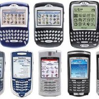 blackberry-array.jpg