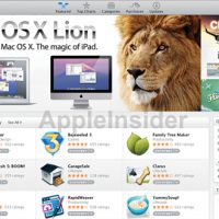lion-110504.jpg