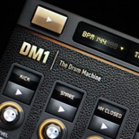 DM1.jpg