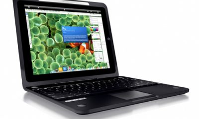 L_2-580x441.jpg