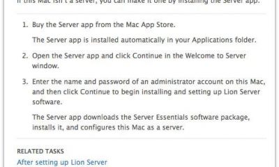 serverlion.jpg