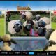 shaunthesheep.jpg