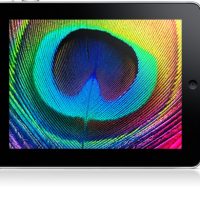 iPad-2-screen.jpg