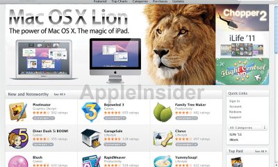 lion-110504-3.jpg