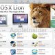 lion-110504-3.jpg