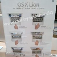 lion_gesture_promo_euronics-500x666.jpg