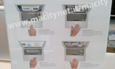 lion_gesture_promo_euronics-500x666.jpg