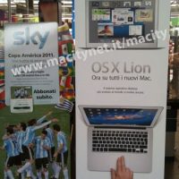 lion_standing_banner_euronics.jpg