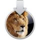 lioninstall-150x150-2.jpg