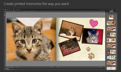 mzl.ftlkyjjf.800x500-75.jpg