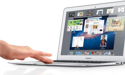 overview_hero_gallery_lion.jpg