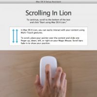 scrolling_in_lion-500x388.jpg