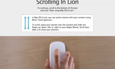 scrolling_in_lion-500x388.jpg