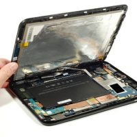tptear-2.jpg