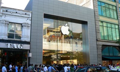 P1060348-2.jpg