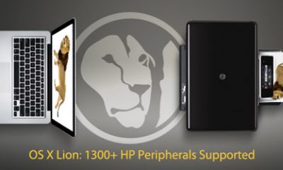 hdr-ad-lion-560x280.jpg