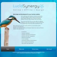 lucid-synergy-01.jpg