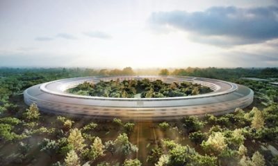Renderings-2.jpg