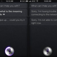sirigivesup-p.jpg
