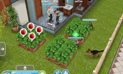 the_simsfreeplay_-ios-_1.jpg