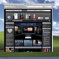 safari_windows.jpg