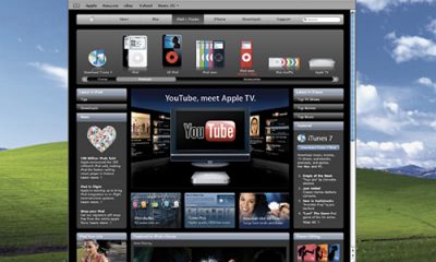 safari_windows.jpg
