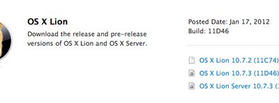 os-x-lion-10-7-3-build-11d46.jpg