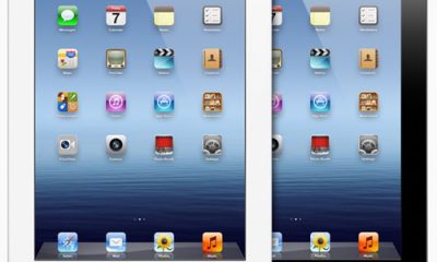 safari001-9.jpg