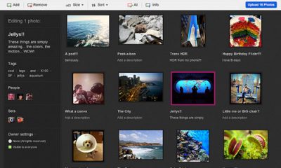 flickruploadr-lg1.jpg