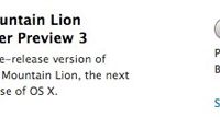 mountain_lion_dev_3.jpg