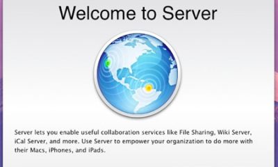 lionserverapp-2.jpg