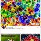 google+ ipad