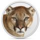 mountain-lion.jpg