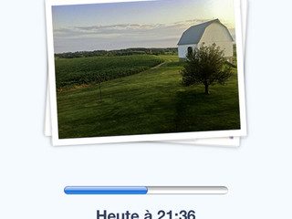mza_7432381395176964862.jpg