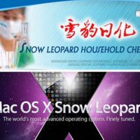Jiangsu Xuebao snow leopoard