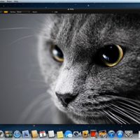 Pixelmator 2.1 cherry