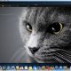 Pixelmator 2.1 cherry
