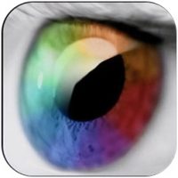 retina