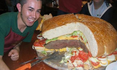 hamburger