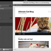 WordPress