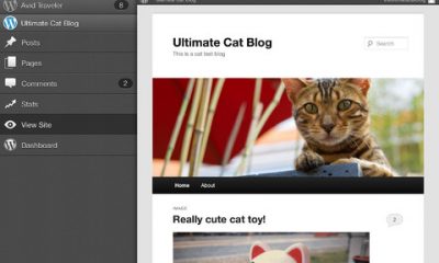 WordPress