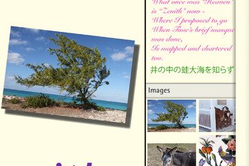 mzl-dcjrqtru-480x480-75.jpg