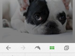 Dolphin Browser